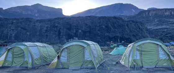 ️♂️ Training for the Summit: What Kilimanjaro Teaches About Power, Recovery, and Mindset ️♂️ Training for the Summit: What Kilimanjaro Teaches About Power, Recovery, and Mindset